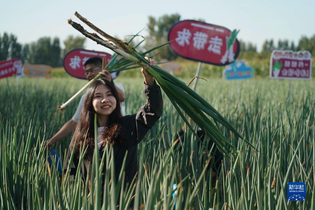 申慱菲律宾下载